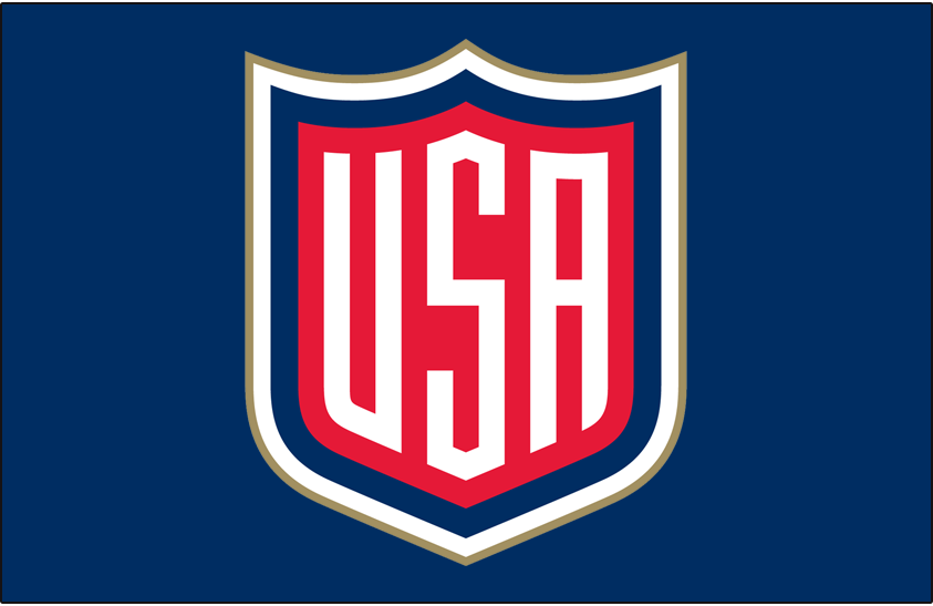 World Cup of Hockey 2017 Jersey Logo v3 DIY iron on transfer (heat transfer)